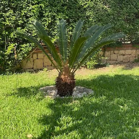 Вилла Palm