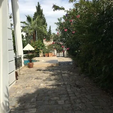 Palm * Фетхие