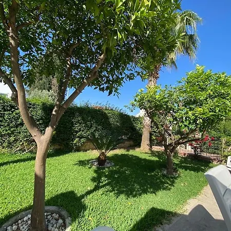 Vila Palm