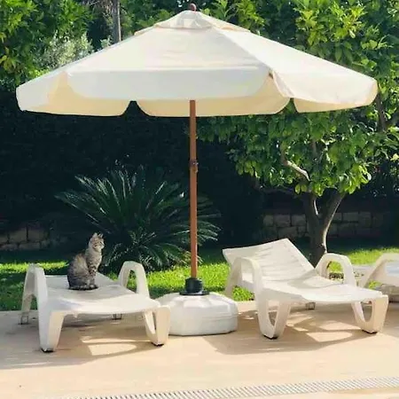 Palm 빌라 *