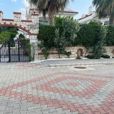 Palm 빌라 페티예